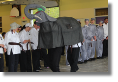 Un éléphant dans le stage