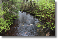 La Rivière Jaune